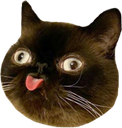 derpcatblep